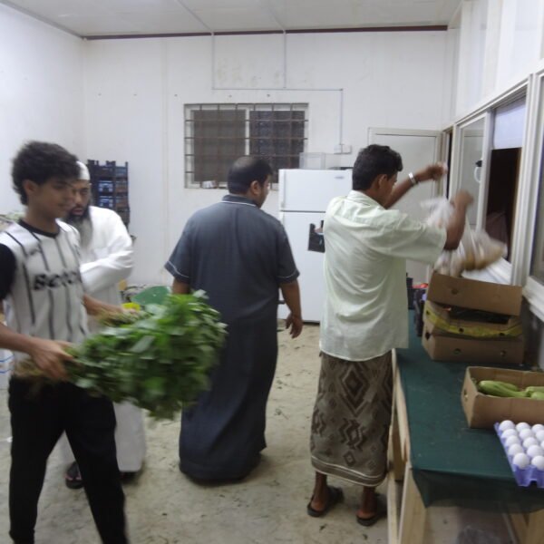 DSC01219 600x600