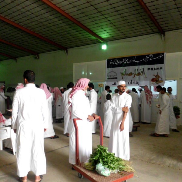 DSCI0080 600x600