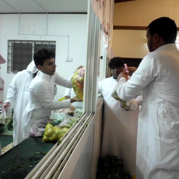 DSCI0115 600x600