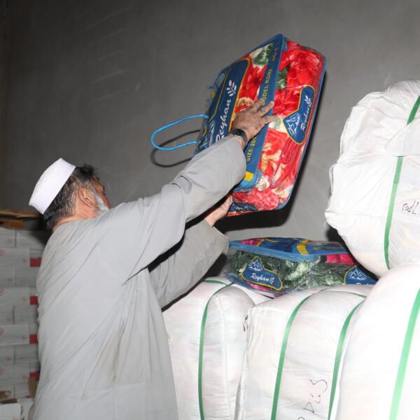 IMG 0203 600x600
