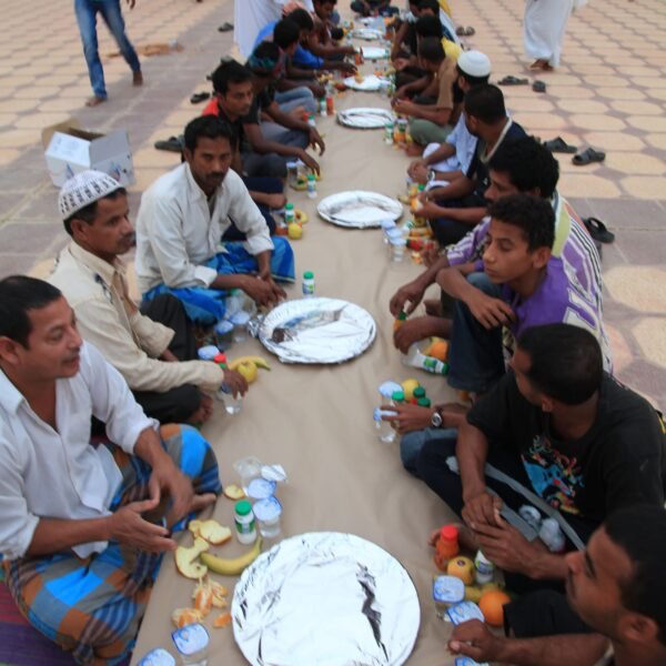 IMG 6799 600x600